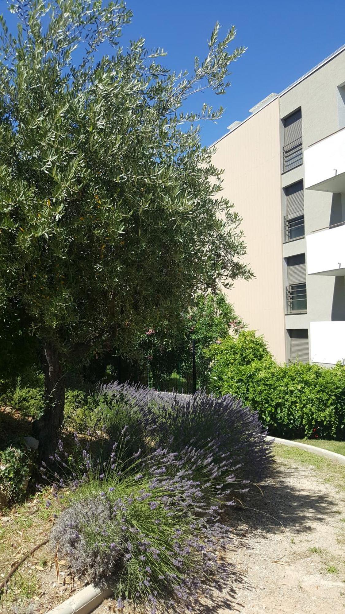 Studio Vista * Antibes